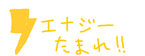 岡田紫苑から一言